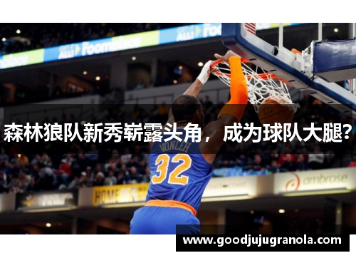 森林狼队新秀崭露头角，成为球队大腿？