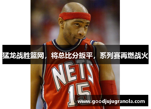 猛龙战胜篮网，将总比分扳平，系列赛再燃战火
