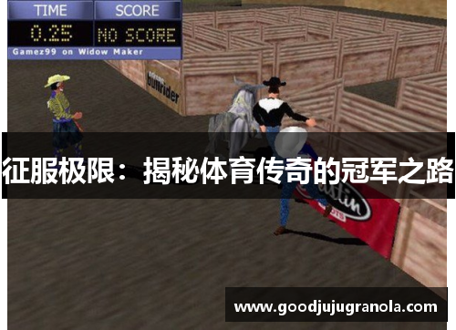 征服极限：揭秘体育传奇的冠军之路