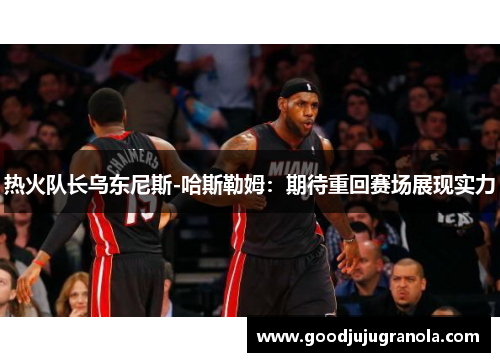热火队长乌东尼斯-哈斯勒姆：期待重回赛场展现实力